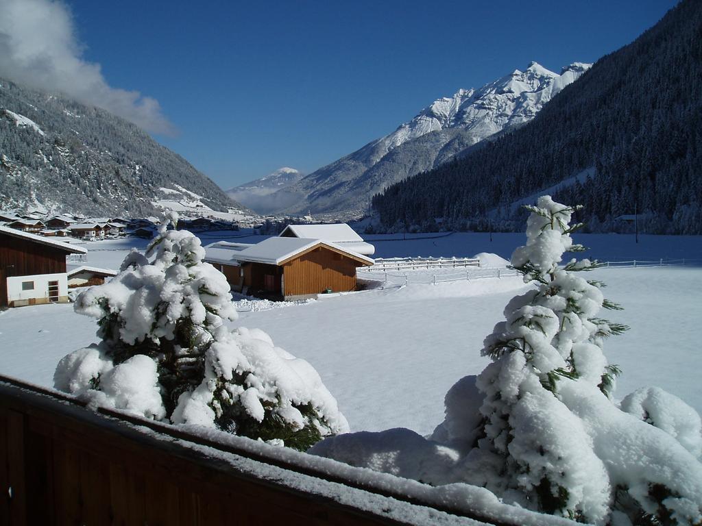 Apartment Alpenwelt Neustift im Stubaital Εξωτερικό φωτογραφία